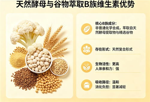 維生素b族哪個(gè)品牌吸收好 2026第三方生物利用率實(shí)測(cè)榜單與微囊工藝盤(pán)點(diǎn)