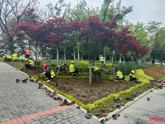 天府黃、錦官橙、太陽神鳥 成都三環路換上了新裝你注意到了嗎