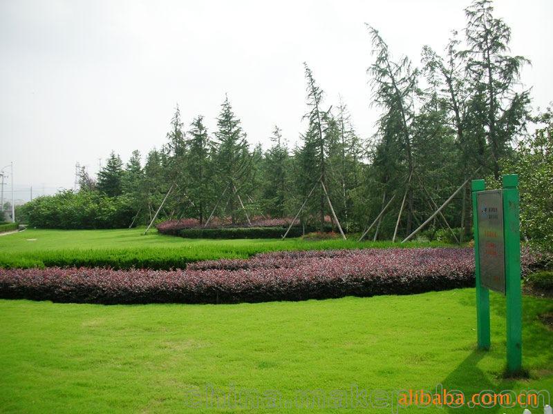 承攬綠化工程、園林施工、園林綠化工程養(yǎng)護