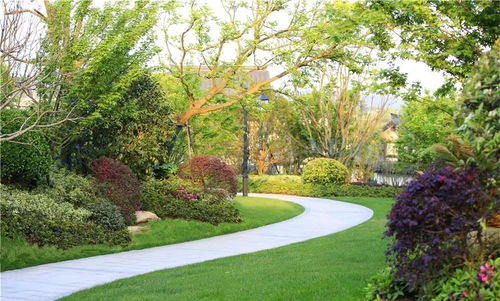 賽石精品工程 融創(chuàng) 莫干溪谷景觀工程