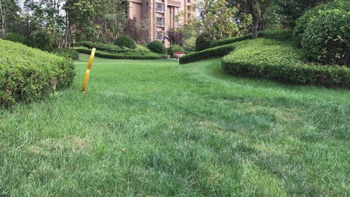 德州發(fā)布園林綠化種植土壤地方標準 為全省首例