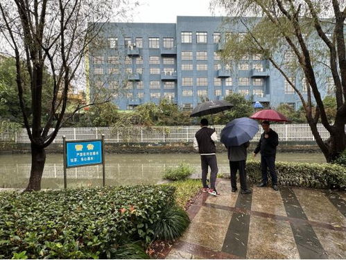 余姚市園林風(fēng)景管理中心對部分公園的綠化補(bǔ)植工程進(jìn)行驗收